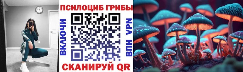 как найти закладки  Нерюнгри  Псилоцибиновые грибы GOLDEN TEACHER 