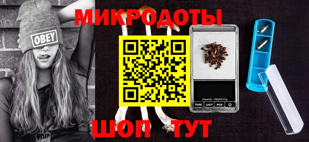 Галлюциногенные грибы Psilocybe Нерюнгри