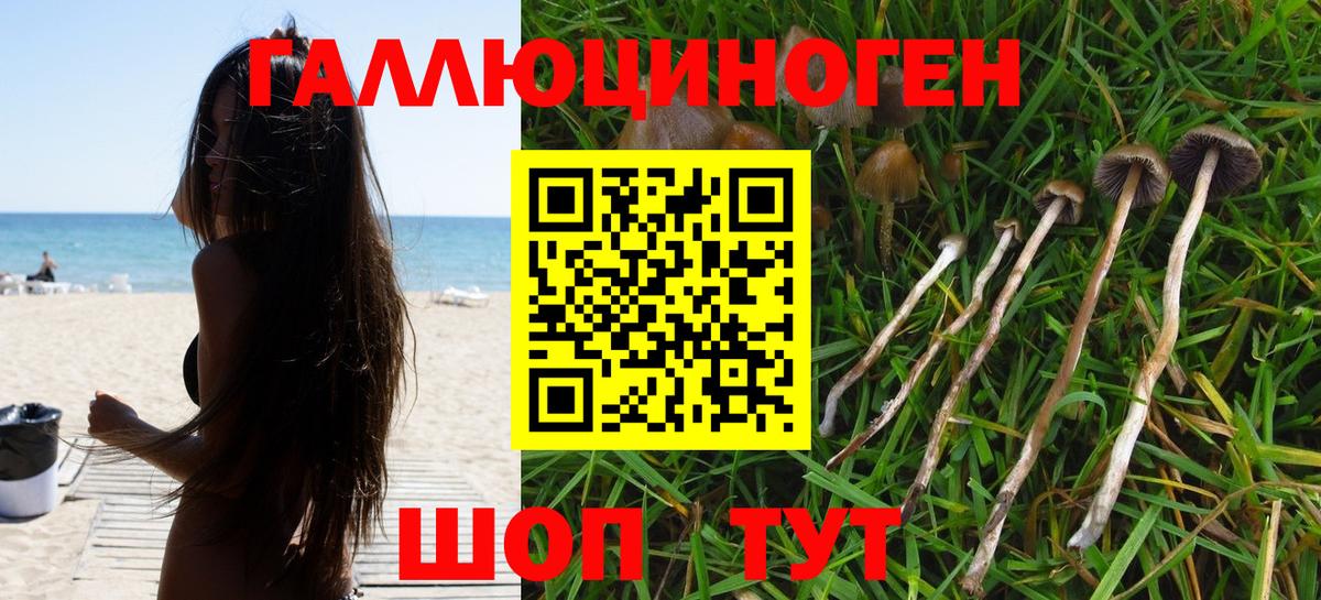 Псилоцибиновые грибы ЛСД  где можно купить наркотик  Нерюнгри  Вход с VPN 