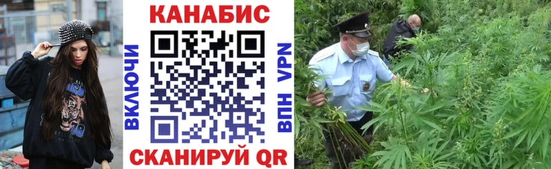 Бошки Шишки SATIVA & INDICA  продажа наркотиков  Нерюнгри 